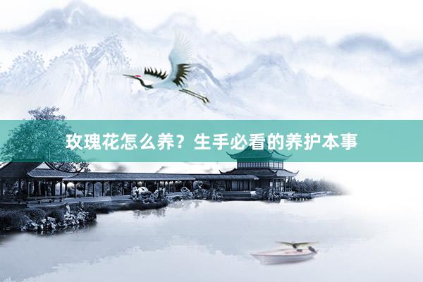 玫瑰花怎么养？生手必看的养护本事